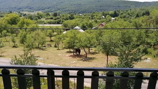 Farma & Apartmani Opg Sasa Delic Korenica Esterno foto