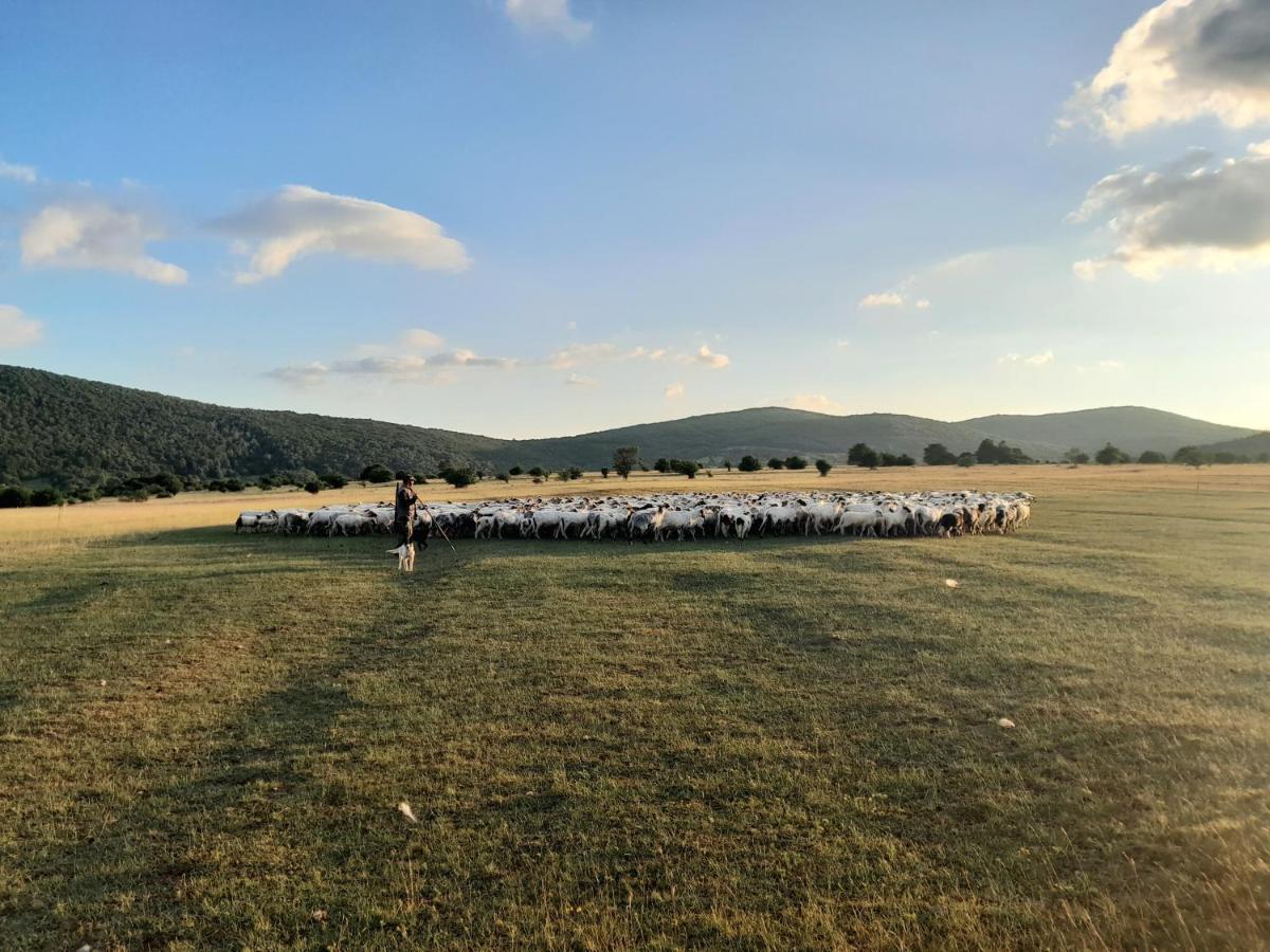 Farma & Apartmani Opg Sasa Delic Korenica Esterno foto