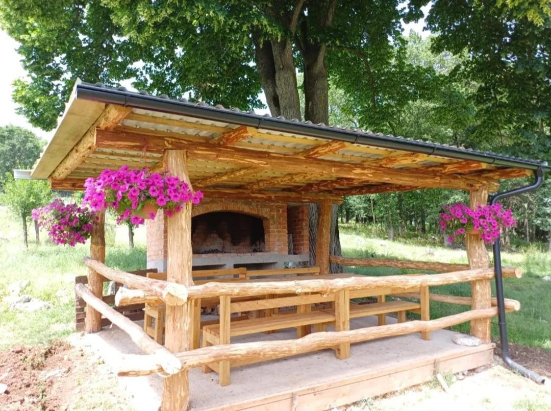 Farma & Apartmani Opg Sasa Delic Korenica Esterno foto