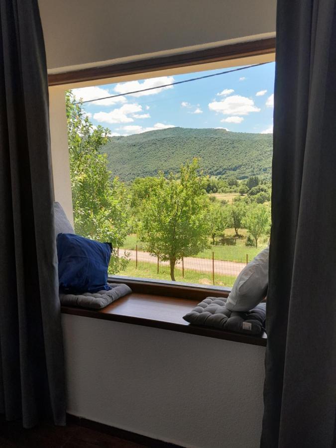 Farma & Apartmani Opg Sasa Delic Korenica Esterno foto